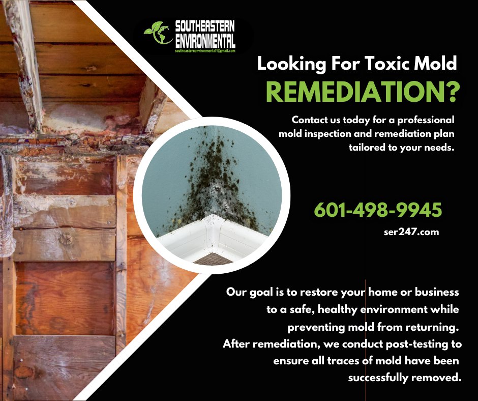 Mold Remediation Project
